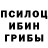 Галлюциногенные грибы Psilocybe HHmenschHH