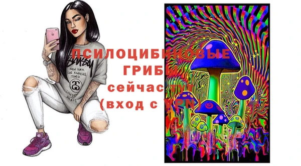 гидропоника Алексин