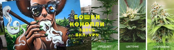 гидропоника Алексин